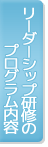 ���[�_�[�V�b�v���C�̃v���O�������e